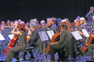 IMG_3893-1
