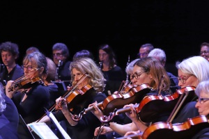 IMG_3914-1