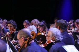 IMG_3928-1