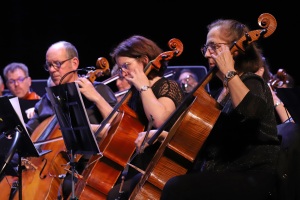 IMG_3952-1