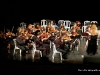 DSC_0041 copie