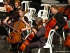 DSC_0043 copie