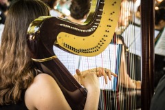 16062019-DSC_7467